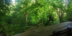 THe view from the cottage